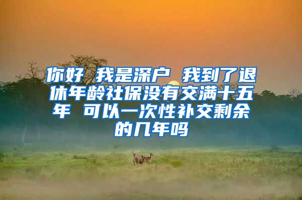 你好 我是深户 我到了退休年龄社保没有交满十五年 可以一次性补交剩余的几年吗