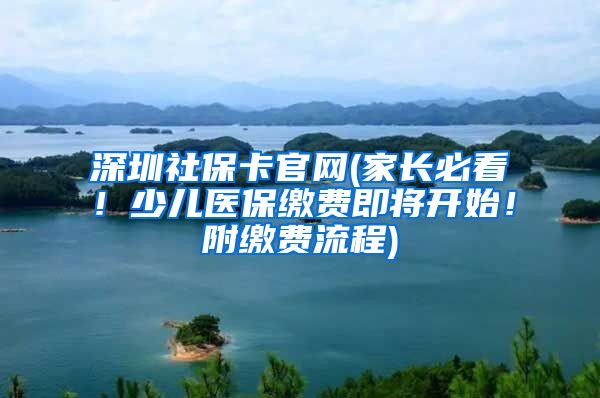 深圳社保卡官网(家长必看！少儿医保缴费即将开始！附缴费流程)