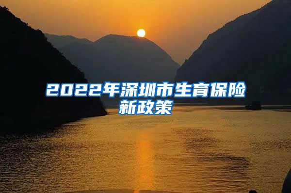 2022年深圳市生育保险新政策