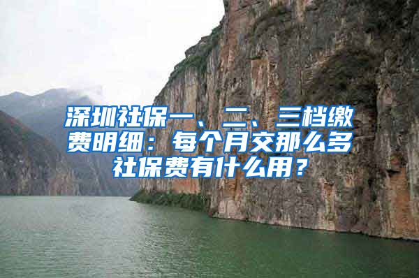 深圳社保一、二、三档缴费明细：每个月交那么多社保费有什么用？