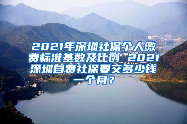 2021年深圳社保个人缴费标准基数及比例 2021深圳自费社保要交多少钱一个月？