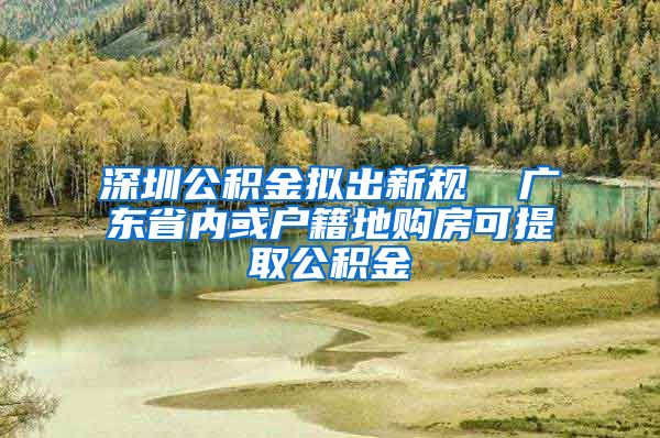 深圳公积金拟出新规  广东省内或户籍地购房可提取公积金