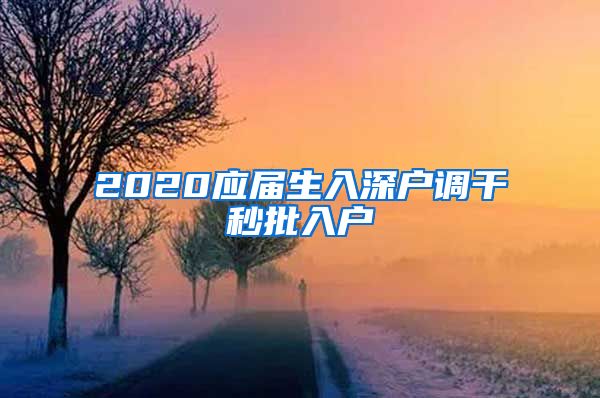 2020应届生入深户调干秒批入户