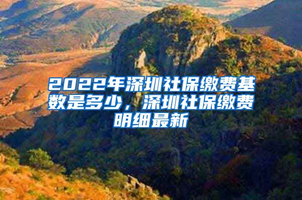 2022年深圳社保缴费基数是多少，深圳社保缴费明细最新