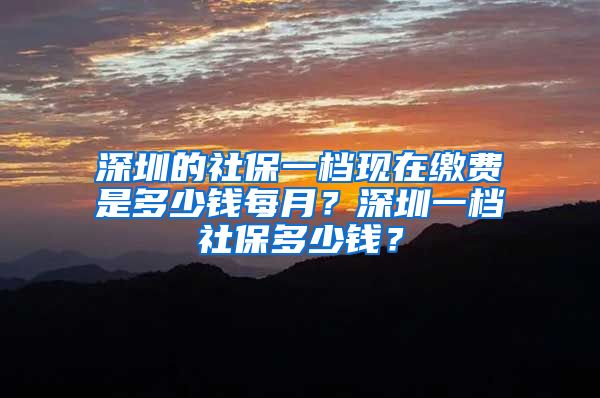 深圳的社保一档现在缴费是多少钱每月？深圳一档社保多少钱？