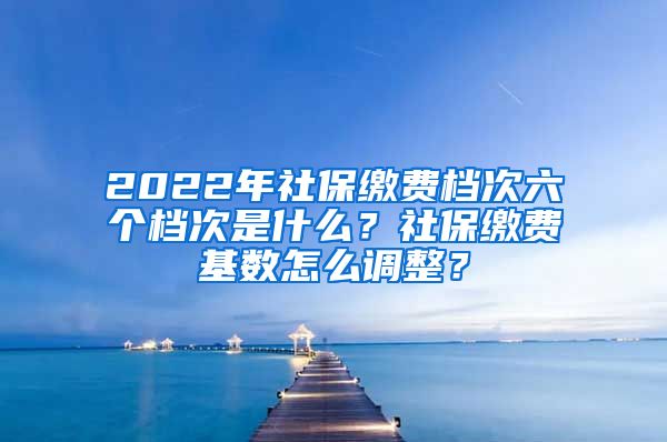 2022年社保缴费档次六个档次是什么？社保缴费基数怎么调整？