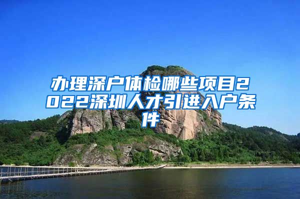 办理深户体检哪些项目2022深圳人才引进入户条件