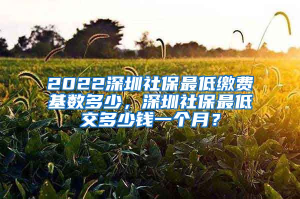 2022深圳社保最低缴费基数多少，深圳社保最低交多少钱一个月？