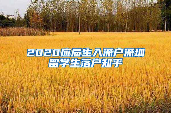 2020应届生入深户深圳留学生落户知乎