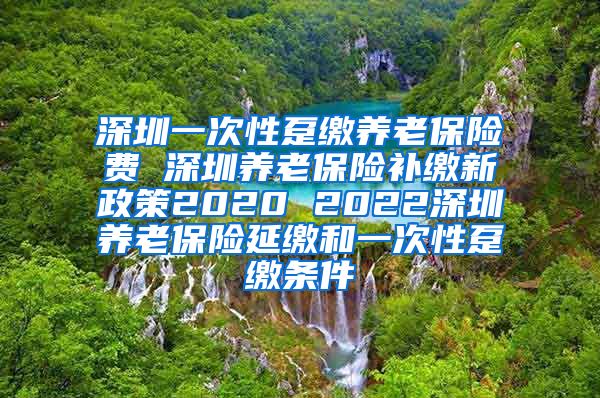 深圳一次性趸缴养老保险费 深圳养老保险补缴新政策2020 2022深圳养老保险延缴和一次性趸缴条件