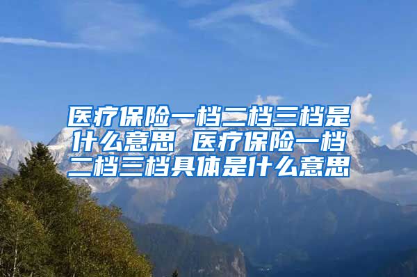 医疗保险一档二档三档是什么意思 医疗保险一档二档三档具体是什么意思