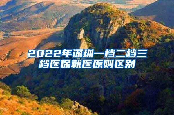 2022年深圳一档二档三档医保就医原则区别