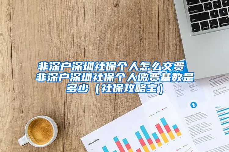 非深户深圳社保个人怎么交费 非深户深圳社保个人缴费基数是多少（社保攻略宝）