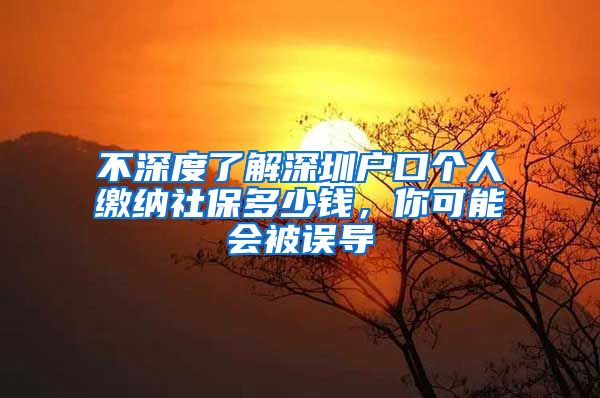 不深度了解深圳户口个人缴纳社保多少钱，你可能会被误导