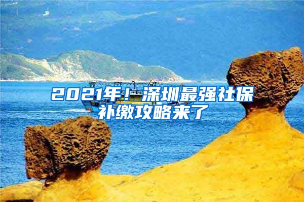 2021年！深圳最强社保补缴攻略来了