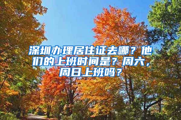 深圳办理居住证去哪？他们的上班时间是？周六，周日上班吗？