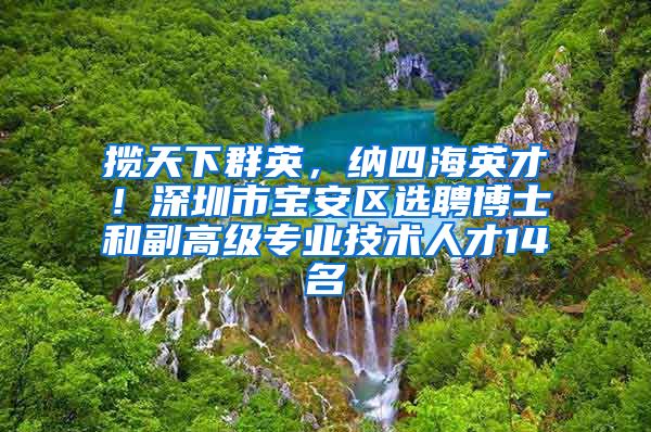 揽天下群英，纳四海英才！深圳市宝安区选聘博士和副高级专业技术人才14名