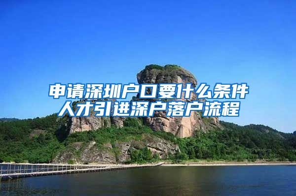 申请深圳户口要什么条件人才引进深户落户流程