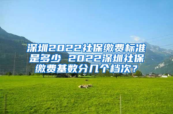 深圳2022社保缴费标准是多少 2022深圳社保缴费基数分几个档次？