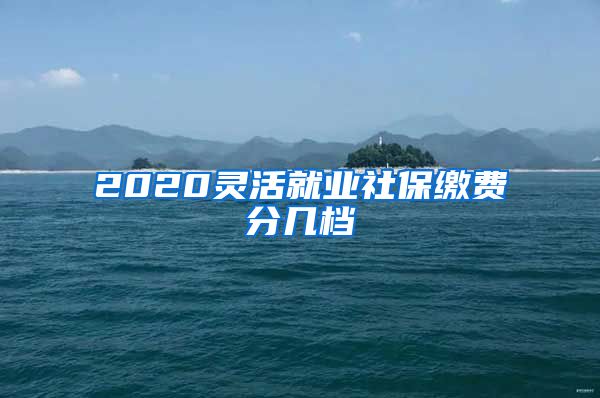 2020灵活就业社保缴费分几档