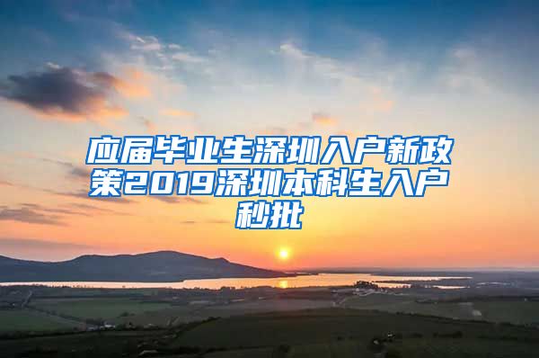 应届毕业生深圳入户新政策2019深圳本科生入户秒批