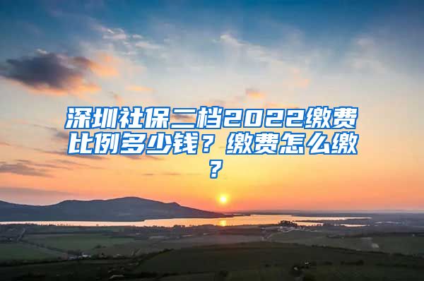 深圳社保二档2022缴费比例多少钱？缴费怎么缴？