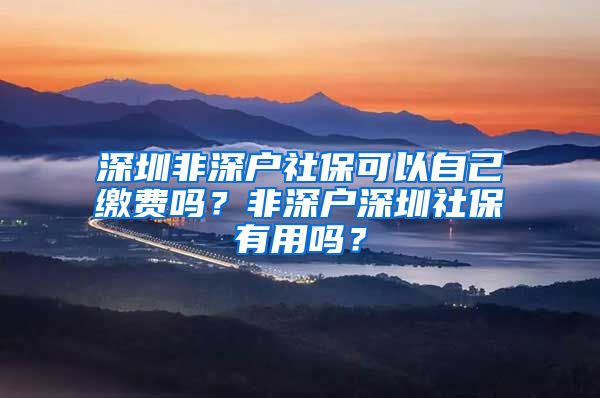 深圳非深户社保可以自己缴费吗？非深户深圳社保有用吗？