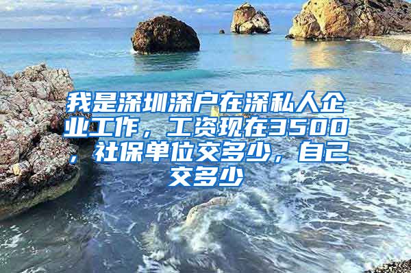 我是深圳深户在深私人企业工作，工资现在3500，社保单位交多少，自己交多少