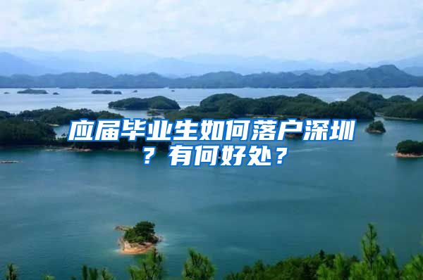 应届毕业生如何落户深圳？有何好处？