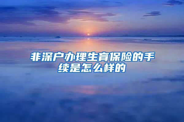 非深户办理生育保险的手续是怎么样的