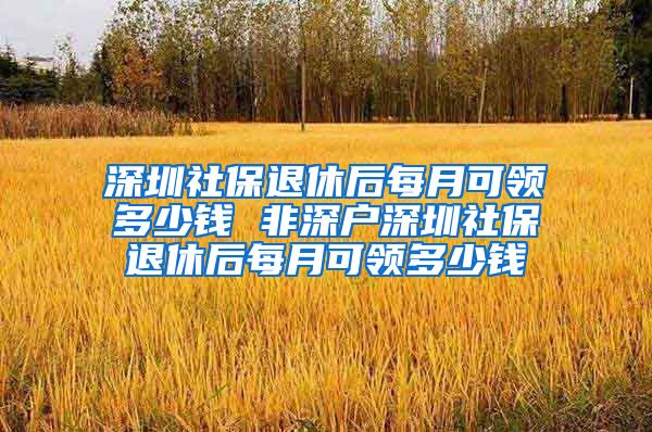 深圳社保退休后每月可领多少钱 非深户深圳社保退休后每月可领多少钱