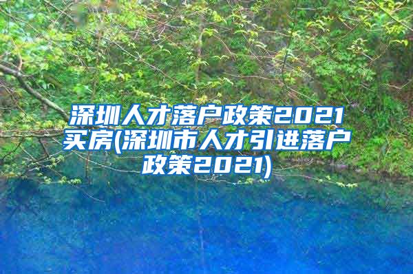 深圳人才落户政策2021买房(深圳市人才引进落户政策2021)