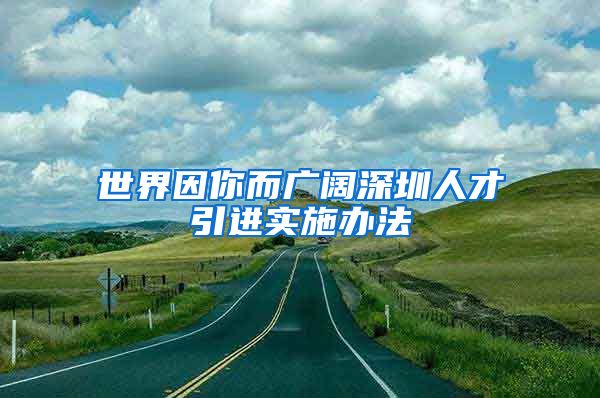 世界因你而广阔深圳人才引进实施办法