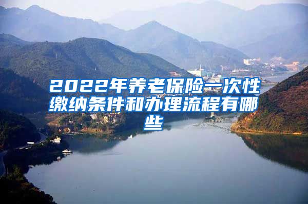 2022年养老保险一次性缴纳条件和办理流程有哪些