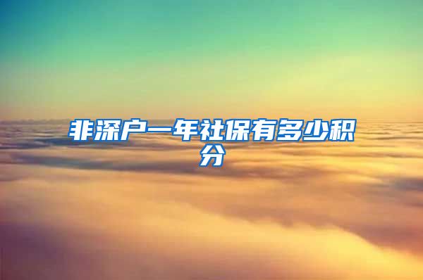 非深户一年社保有多少积分