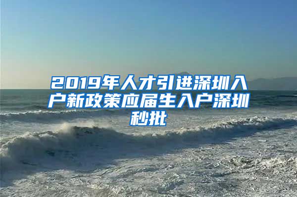 2019年人才引进深圳入户新政策应届生入户深圳秒批