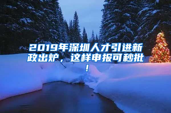 2019年深圳人才引进新政出炉，这样申报可秒批！