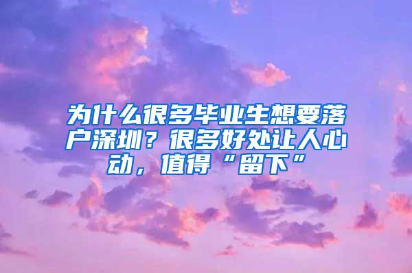 为什么很多毕业生想要落户深圳？很多好处让人心动，值得“留下”