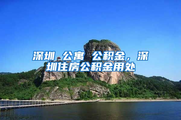 深圳 公寓 公积金，深圳住房公积金用处