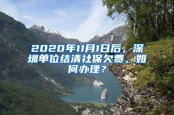 2020年11月1日后，深圳单位结清社保欠费，如何办理？