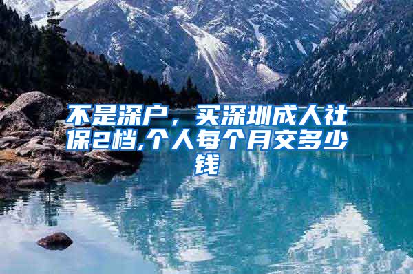 不是深户，买深圳成人社保2档,个人每个月交多少钱