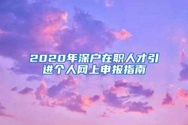 2020年深户在职人才引进个人网上申报指南