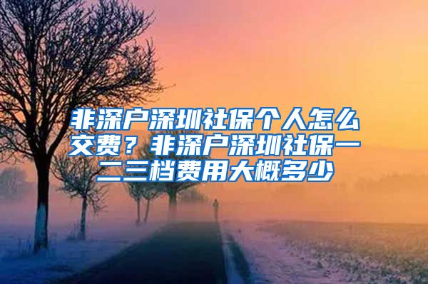 非深户深圳社保个人怎么交费？非深户深圳社保一二三档费用大概多少