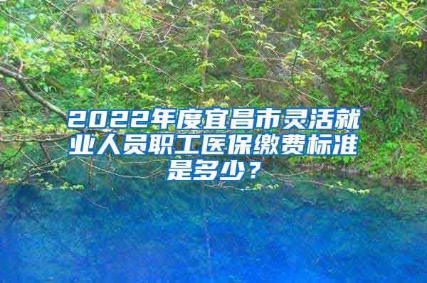 2022年度宜昌市灵活就业人员职工医保缴费标准是多少？