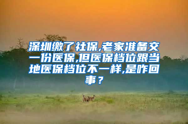 深圳缴了社保,老家准备交一份医保,但医保档位跟当地医保档位不一样,是咋回事？