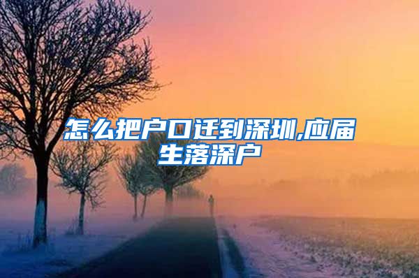 怎么把户口迁到深圳,应届生落深户