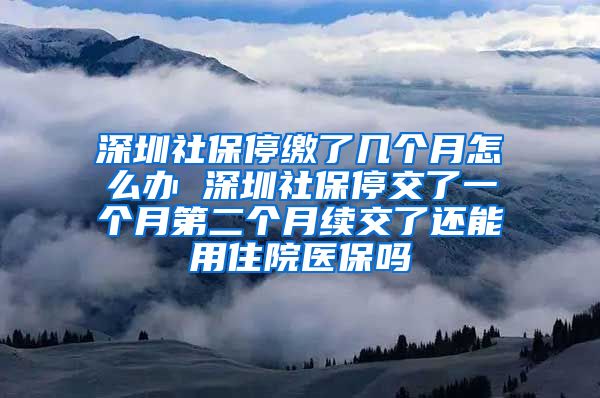 深圳社保停缴了几个月怎么办 深圳社保停交了一个月第二个月续交了还能用住院医保吗