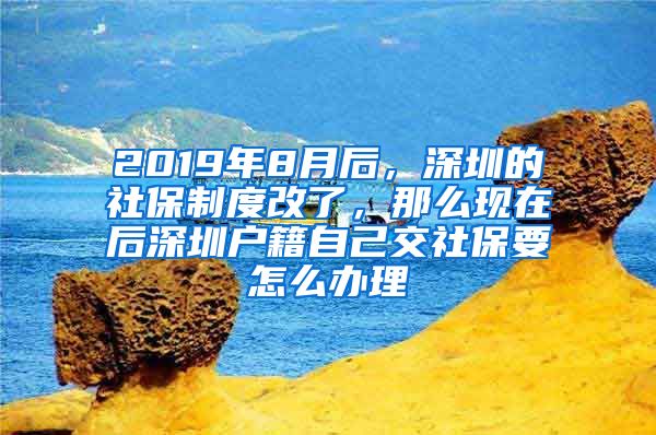 2019年8月后，深圳的社保制度改了，那么现在后深圳户籍自己交社保要怎么办理