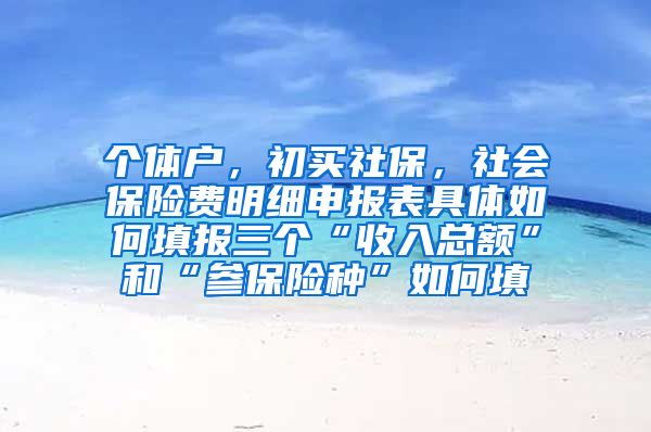 个体户，初买社保，社会保险费明细申报表具体如何填报三个“收入总额”和“参保险种”如何填