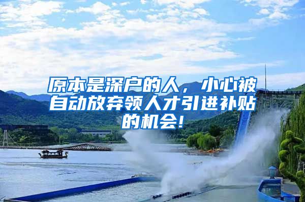 原本是深户的人，小心被自动放弃领人才引进补贴的机会!